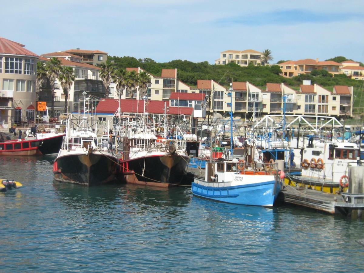 I-Lollo Bed & Breakfast At The River Mouth St Francis Bay Esterno foto